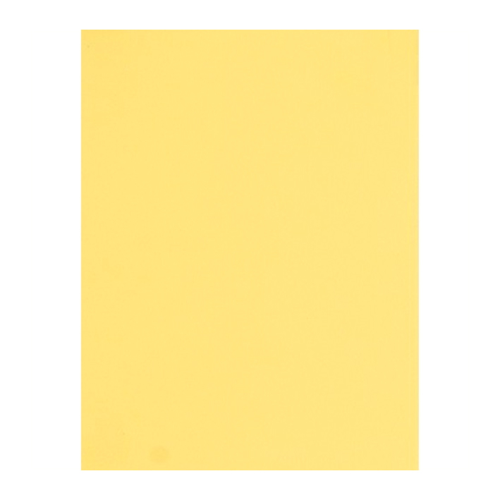 Visico Poplay Yellow 50 2.7x10m papirna pozadina - 1